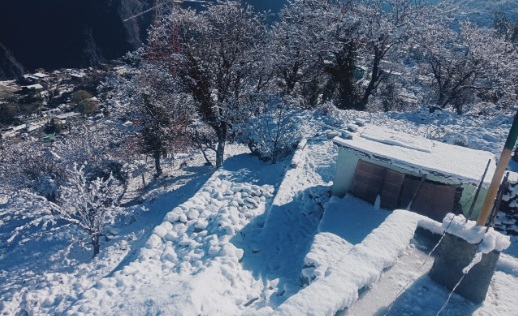 Uttarakhand Snowfall: उत्तराखंड के ऊंचाई वाले क्षेत्रों में जमकर हुई बर्फबारी,धूप निकलते ही चांदी सी चमक उठी वादियां