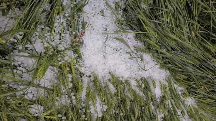 Uttarakhand: ओलावृष्टि प्रभावित किसानों को अब मिलेगी दोगुनी राहत, तीन माह के बिजली बिल स्थगित